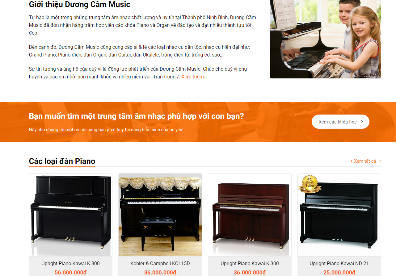 Theme wordpress bán nhạc cụ1