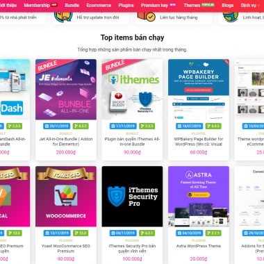 Theme wordpress bán code đẹp