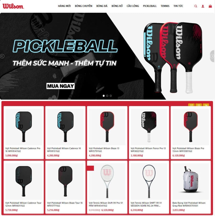 theme-wordpres-ban-pickleball